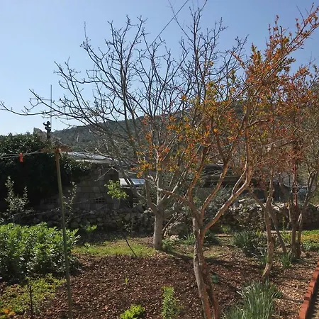 Guest house By The Sea Stupin Celine 10001 Rogoznica (Sibenik-Knin)
